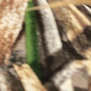 Meet your Posher, Josh